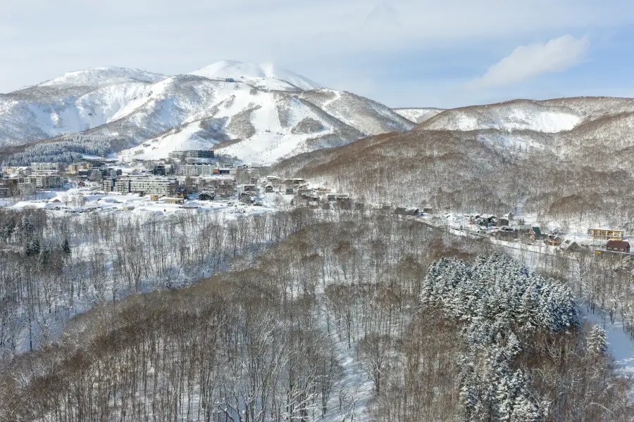 Winter aerial site view