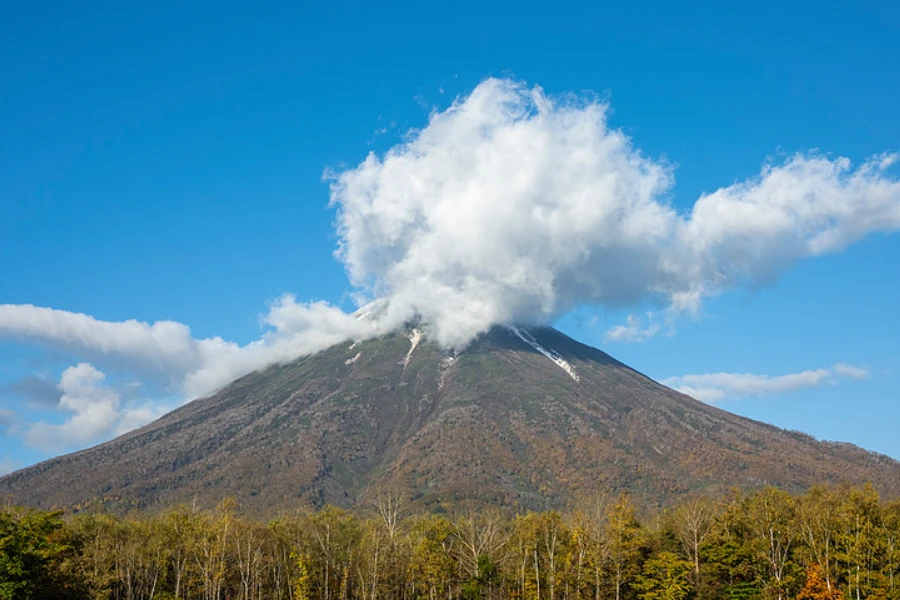 Montain View